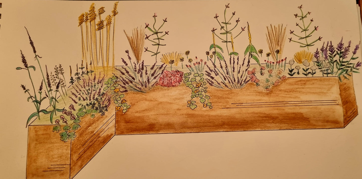 Planung insektenfreundlicher Balkon