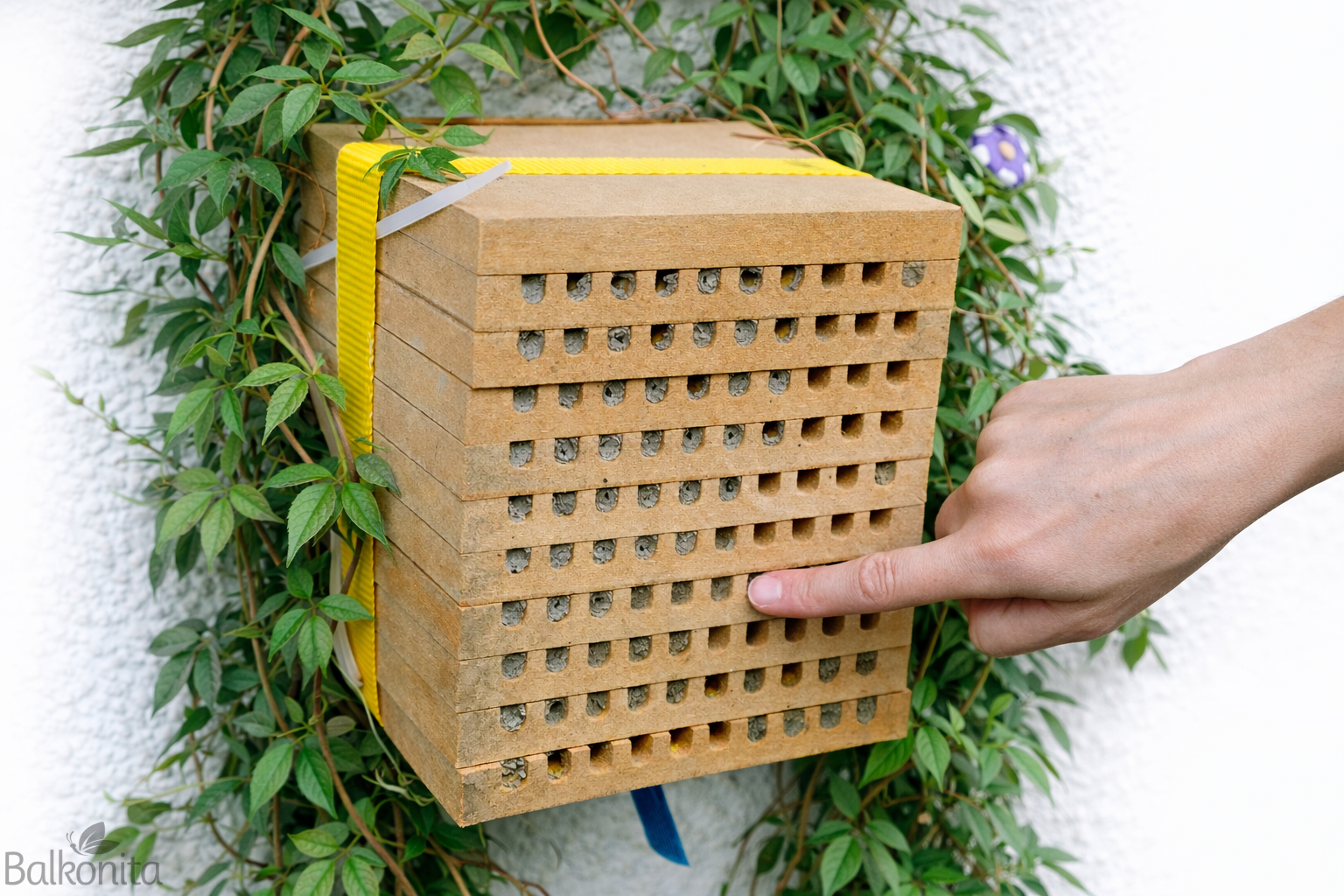 Beschreibung der Nisthilfen | Balkonita