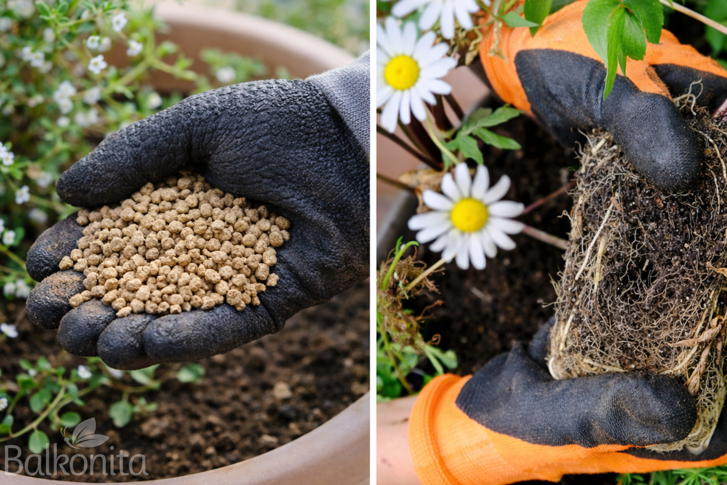 Balkon- & Gartenpflege