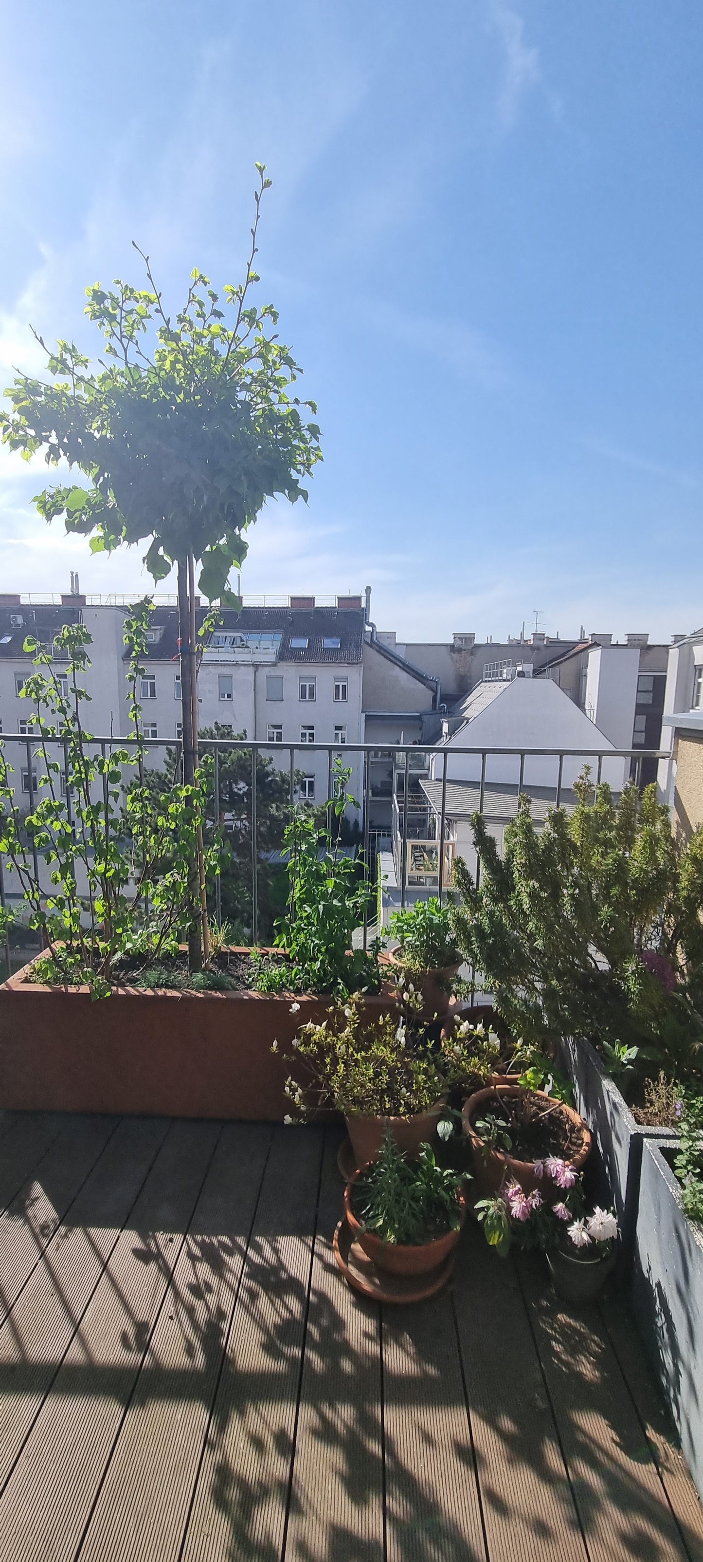 Planung & Gestaltung